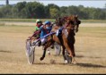 /album/galerie-de-photos-nos-chevaux/received-627926994813375-3-jpeg/